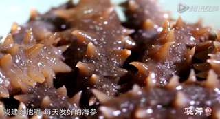 海參進補從娃娃抓起，兒童吃海參的好處！