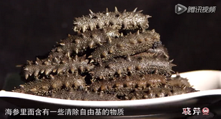 孝敬父母，為何首選海參？