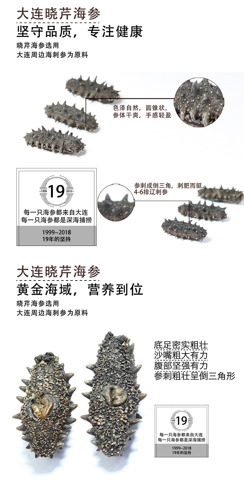 海參,干海參,大連海參,曉芹海參,海參品牌,遼刺參,海鮮水產(chǎn) 海參,干海參,大連海參,曉芹海參,海參品牌,遼刺參,海鮮水產(chǎn)