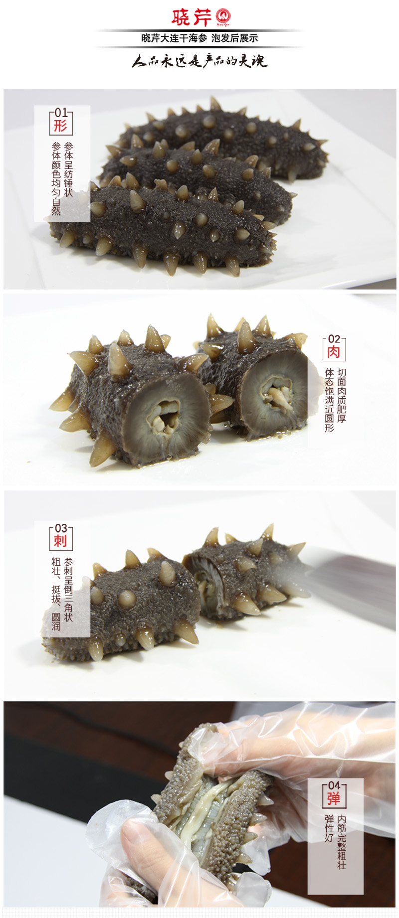 海參,干海參,大連海參,曉芹海參,海參品牌,遼刺參,海鮮水產(chǎn) 海參,干海參,大連海參,曉芹海參,海參品牌,遼刺參,海鮮水產(chǎn)