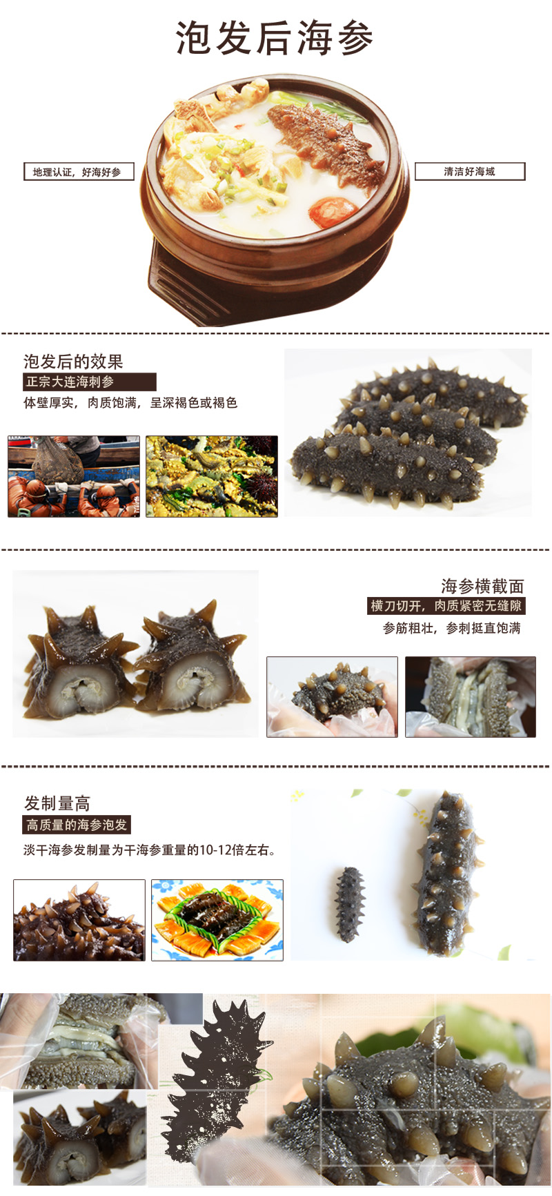 海參,干海參,大連海參,曉芹海參,海參品牌,遼刺參,海鮮水產(chǎn) 海參,干海參,大連海參,曉芹海參,海參品牌,遼刺參,海鮮水產(chǎn)